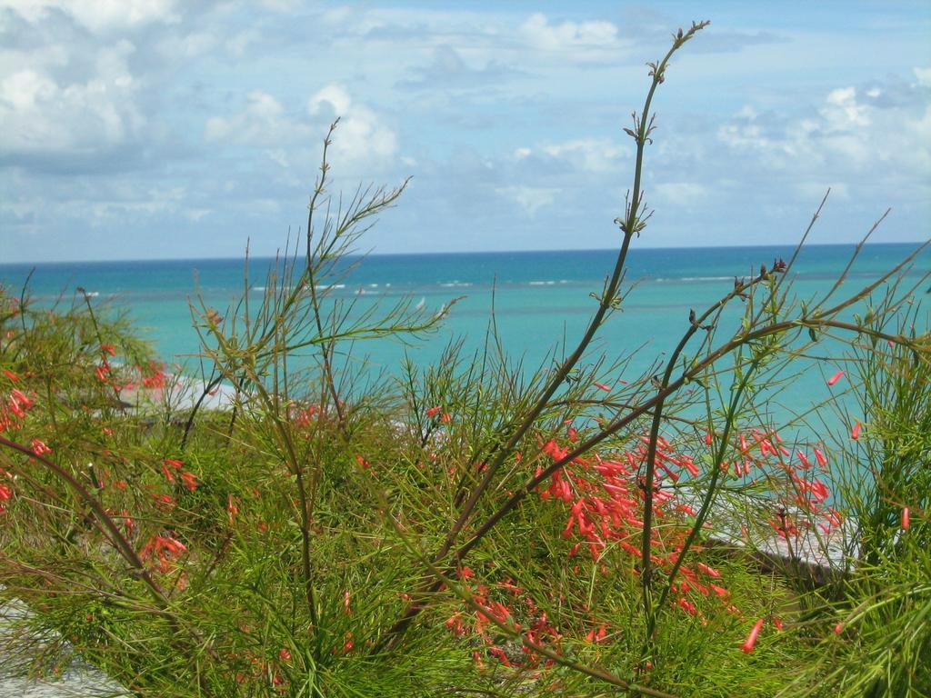 Apartamentos Praia De Pajucara Maceió Rum bild